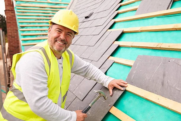 Roof Cleaning