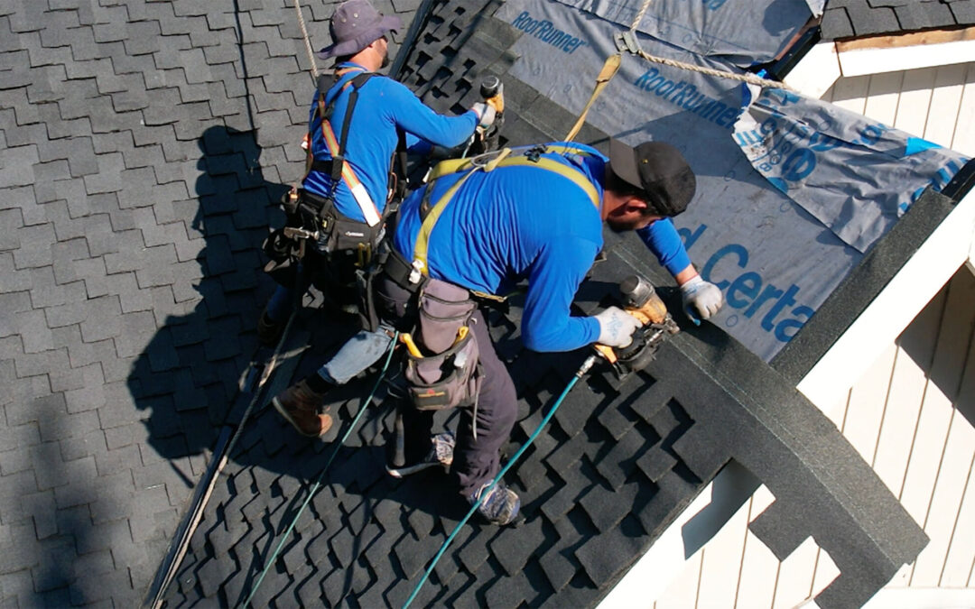 How to Find a Roof Leak in 8 Easy Steps to Follow
